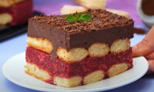 Osvježavajuća poslastica: Za “čas posla” spremite super voćnu tortu s piškotama