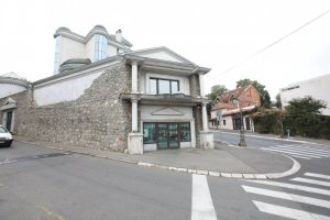 Komšije se žale: Iz Cecine vile se širi nesnosan smrad?