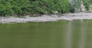 Ogromne količine smeća plutaju rijekom: Čime je Vrbas ovo zaslužio? FOTO