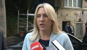 Cvijanović potvrdila da će pokrenuti veto: Kurtijev režim ne zaslužuje benefite
