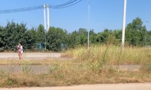 Došli na odmor u BiH i uhvatili se posla: Otac i kćerka kosili travu oko graničnog prelaza
