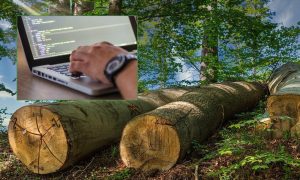 Jedinstven u ovom dijelu Evrope: Šta je sve Šumama Srpske donio integrisani informacioni sistem