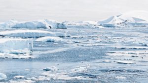 Klimatski alarm: Morski led na Antarktiku na rekordno niskom nivou tokom cijele godine