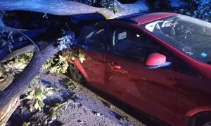 Drvo palo na auto: Saniraju se posljedice noćašnje oluje u Banjaluci FOTO