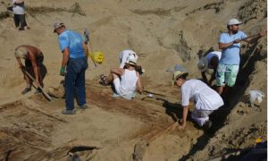Arheolozi iskopali olupinu: Ogromni drevni brod pronađen u Srbiji