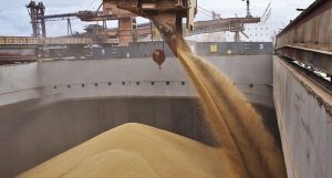 Postignut načelni dogovor Rusije i Turske o isporuci milion tona žitarica