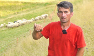 Poznati pastir ostavlja ovce i odlazi iz BiH: Neću se s budalama raspravljati VIDEO