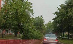 Posljedice nevremena u Banjaluci: Vjetar polomio drvo kao čačkalicu VIDEO