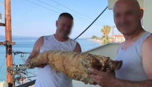 Srpski turisti prevazišli sami sebe u kreativnosti: Donijeli pečeno jagnje na plažu