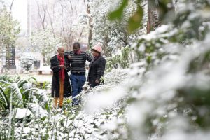 Zimske čarolije u Africi: Snijeg zabijelio ulice Johannesburga nakon 11 godina