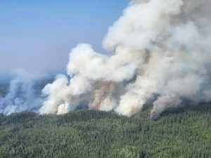 U Kanadi izgorjelo 10 miliona hektara šume