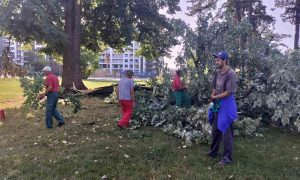 Banjaluka nakon olujnog nevremena: Ekipe na terenu, uklanjaju oštećena stabla
