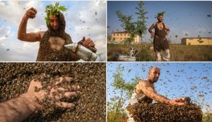 Trka za rekordima: Kad na tijelu imate 60 kilograma pčela