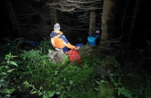 Krenuo u potragu za gljivama, pa poginuo: Pad sa litice bio koban za muškarca iz BiH