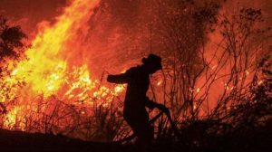 Vatra se širi po nepristupačnom terenu: Zbog požara evakuisano 130 ljudi