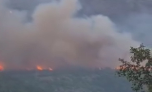 Vatra prešla u BiH pa se vratila! Požar kod Dubrovnika se širi, stanje na terenu loše