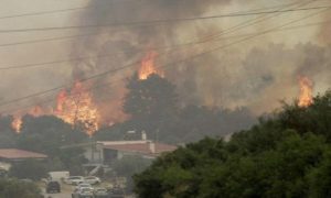 Buktinja van kontrole! Gore tri hotela, stanovništvo i turiste spasavaju brodićima