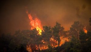Na Rodosu zbog šumskih požara evakuisano 30.000 ljudi VIDEO