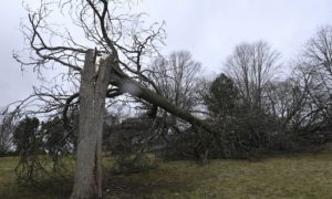 Poremećen avio-saobraćaj! Više tornada pogodilo ovaj dio svijeta VIDEO