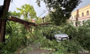 Olujno nevrijeme u Tuzli: Vjetar obarao stabla i nosio krovove