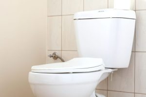 Bakterije se gomilaju: Evo koliko često trebate čistiti tuš zavjesu, umivaonik i WC šolju
