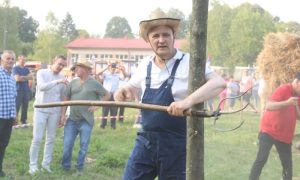 Pokazao kako barata sa sijenom: Đajić učestvovao u tradicionalnoj vršidbi FOTO