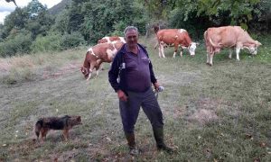Domaćin iz Drvara pomoću Google-a locira krave: Omane za koji metar FOTO