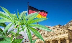 Vlada Njemačke prelomila: Usvojen prijedlog zakona o legalizaciji kanabisa