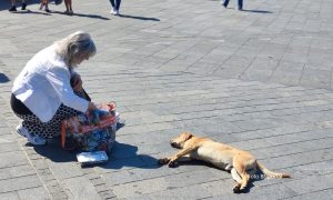 Živ ili mrtav? Evo ko je zabrinuo Banjalučane u centru grada FOTO/VIDEO