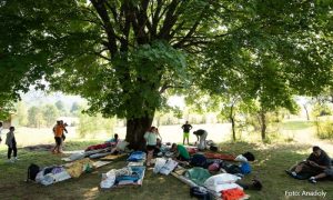 Nema odustajanja: Takmičari u ležanju već 270 sati ne mrdaju iz hladovine