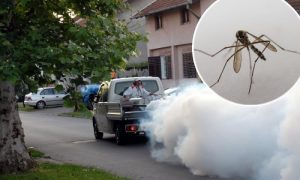“Eko-bel” obilazio banjalučka naselja: Obavljen i drugi tretman suzbijanja komaraca