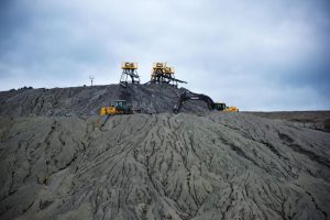 Radnike optužili da su ispekli psa u Majdanpeku: Otkrivena prava istina