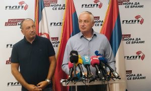 Borenović-Crnadak: PDP je za evropske zakone, ali se mora poštovati odluka Narodne skupštine