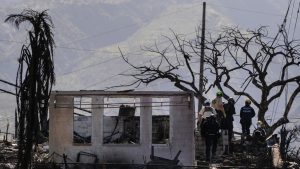 Ekonomista oštar prema Bijeloj kući: Dok Havajci mole za pomoć, oni Ukrajincima daju dolare