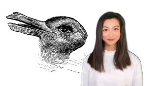 Šta ste prvo vidjeli zeca ili patku? Optička iluzija otkriva vašu ličnost