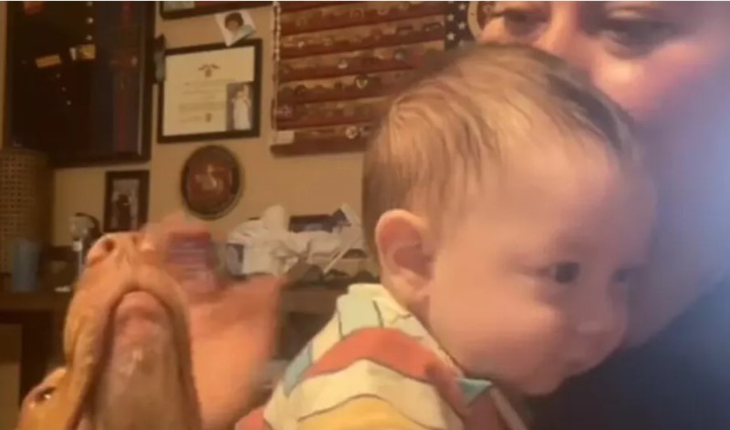 Snimak koji će vam popraviti dan: Ovako brižni pas “brani” bebu od mame