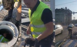 Dirljiv prizor “ovjekovječen” u BiH! Policajac spasao mače iz šahta na gradilištu