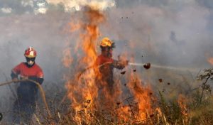 Požar divlja na ostrvu: Nove evakuacije stanovništva na Tenerifima