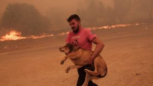Apokaliptične scene u Grčkoj: Požari bjesne, ljudi u panici bježe od vatre VIDEO