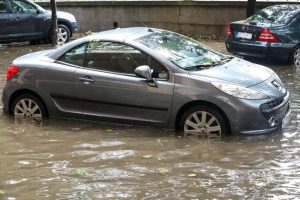 Brnabićeva obišla područja pogođena nevremenom: Šteta se mjeri stotinama miliona evra