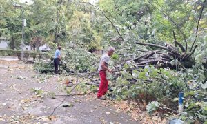 Nevrijeme “protutnjalo” kroz Banjaluku: Ekipe na terenu, uklanjaju oštećena stabla