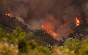 Veliki požar na Tenerifima: Evakuisano lokalno stanovništvo VIDEO