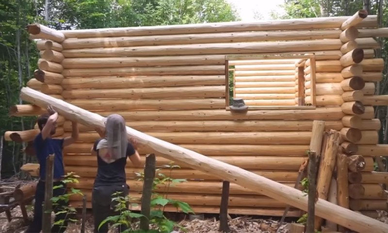 San konačno postao java! Sagradili kolibu koristeći samo testeru i sjekiru VIDEO