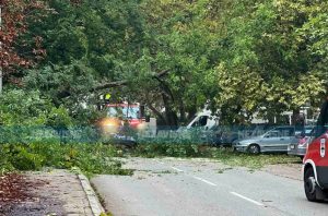 Stvara se gužva u saobraćaju: Srušilo se drvo u Banjaluci