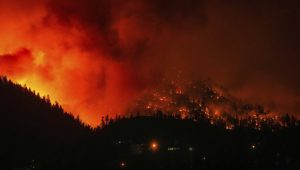 Veliki požar u odmaralištu Alanja u Antaliji