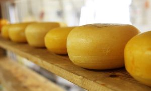 Čak 32.000 evra za kolut od dva kilograma! Ovo je najskuplji sir na svijetu