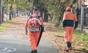 Redovne aktivnost: Počelo sakupljanje lišća sa pješačkih staza u Banjaluci