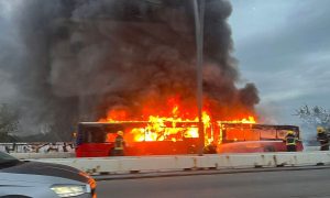 Vatra “progutala” autobus: U gašenju učestvovala čak dva vatrogasna vozila