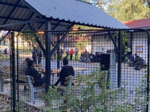 Detalji “Racije” u Blažuju: Dva migranta uhapšena zbog droge, 20 će biti deportovano