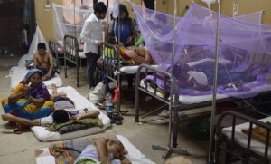 Širi se epidemija denga groznice! Bolest koju prenose komarci ubila više od 1.000 ljudi